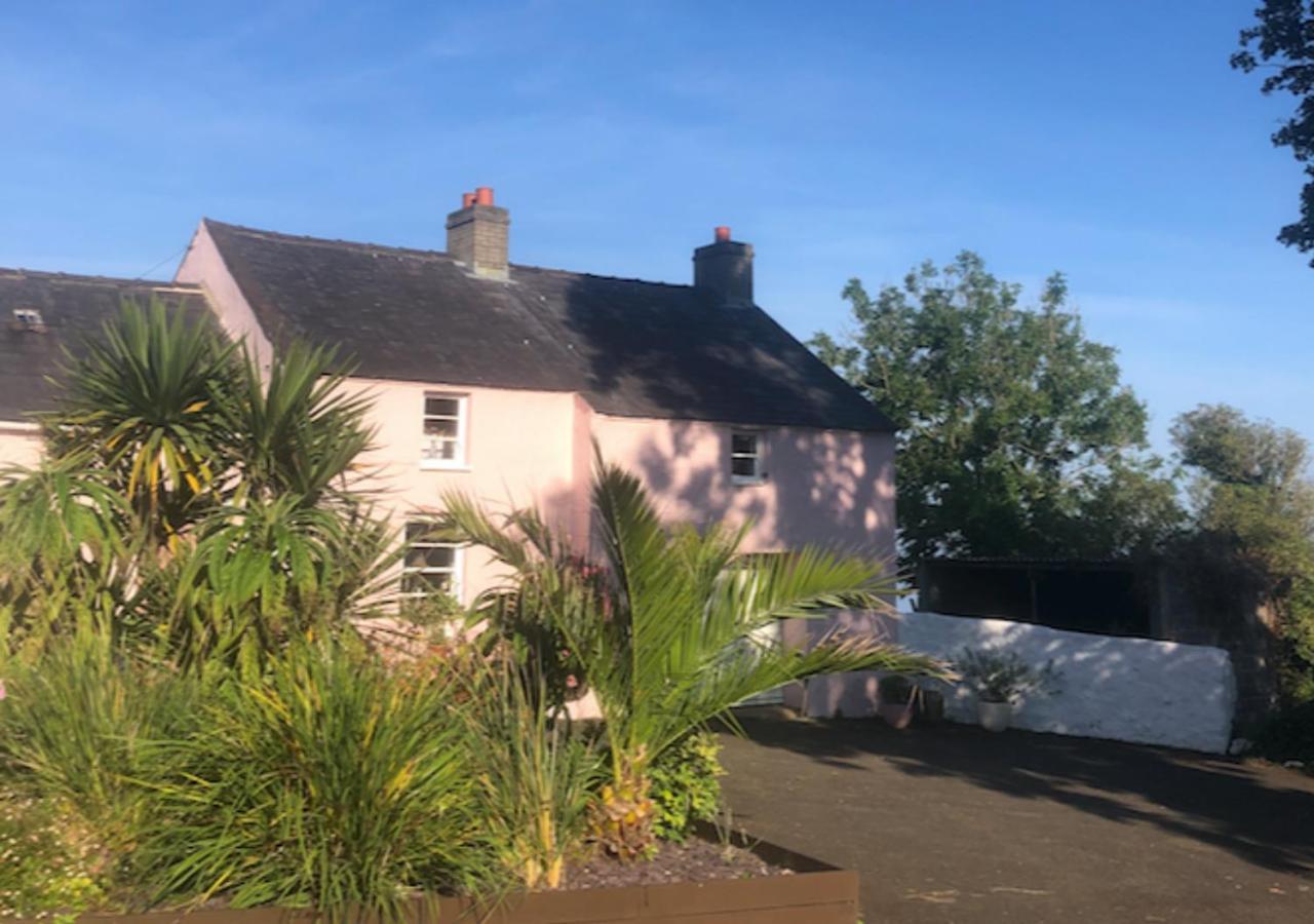 The Pink Cottage Upstairs Suite & Garden Summer Room Whitehead Luaran gambar