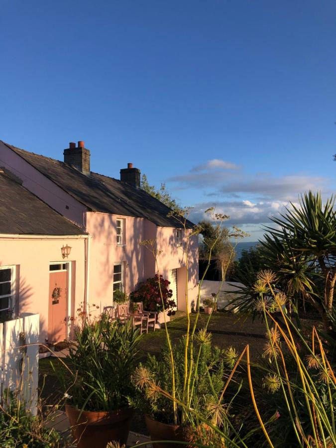 The Pink Cottage Upstairs Suite & Garden Summer Room Whitehead Luaran gambar