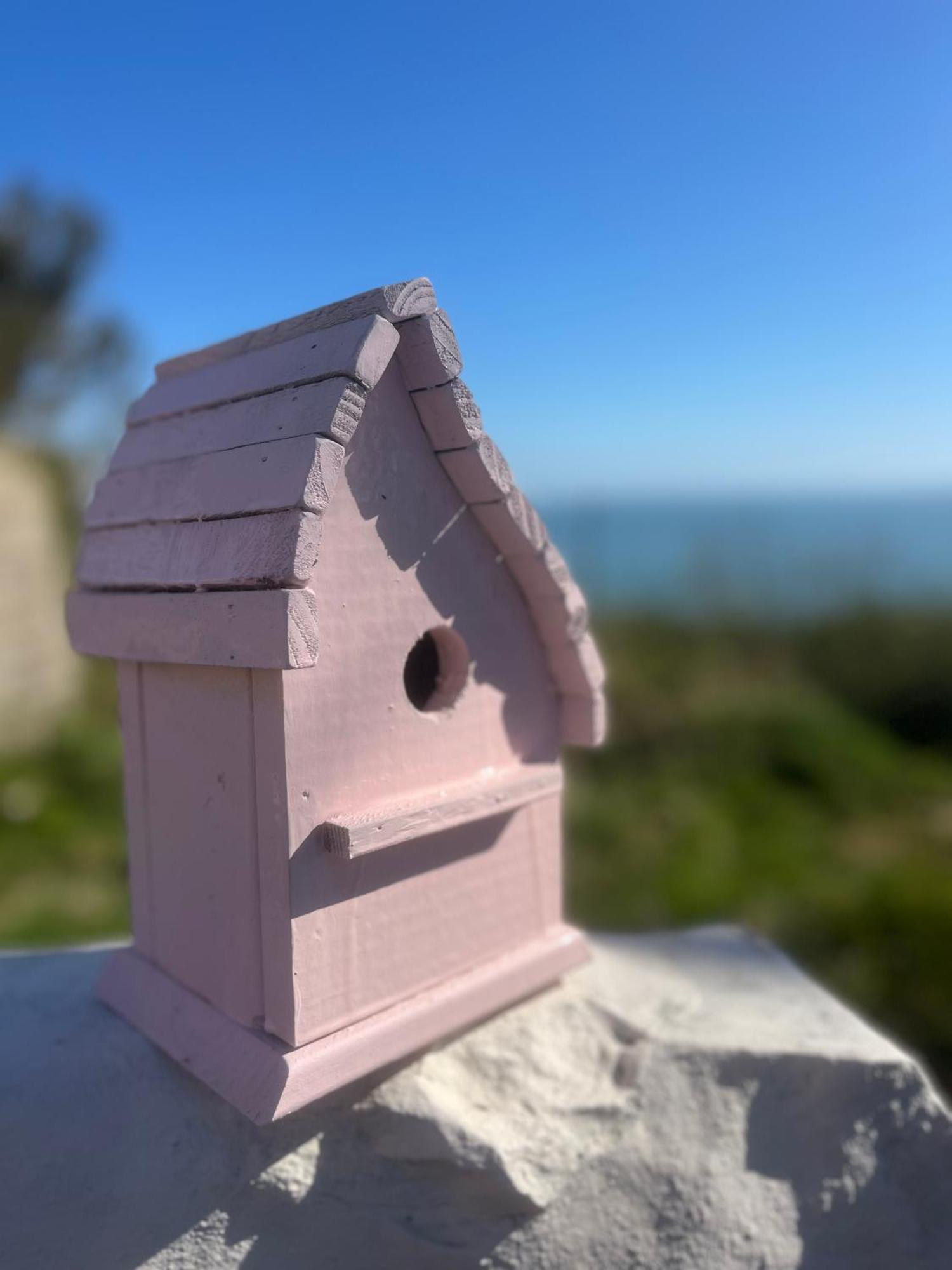 The Pink Cottage Upstairs Suite & Garden Summer Room Whitehead Luaran gambar